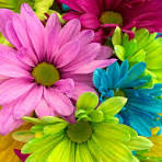 mytvet1822.gnomio.com